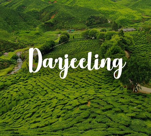 Delightful Darjeeling Tour